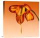 "Tears Of A Flower" Stretched Canvas Giclee by Kent Mathiesen, 21x22"