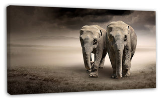 Elephant Pair in Motion, Animal Canvas Wall Art, 32"x16"