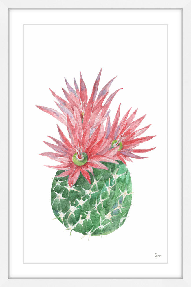"Flowering Barbed Cactus" Framed Painting Print, 20"x30"