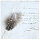 "Plume Letters II" Digital Paper Print by Sue Schlabach, 32"x32"