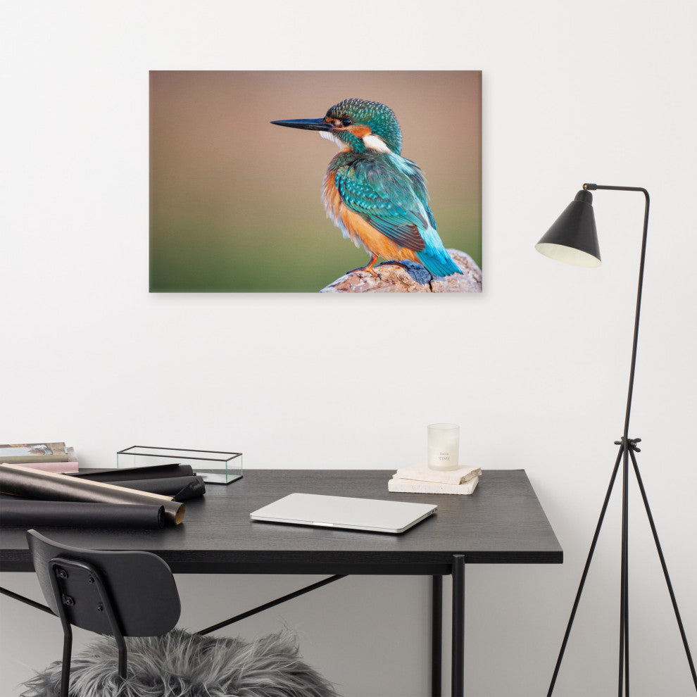 Common Kingfisher Bird on Perch Animal Wildlife Photograph Canvas Wall Art Print, 24" X 36"