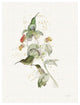 "Colorful Hummingbirds III" Digital Paper Print by Katie Pertiet, 38"x50"