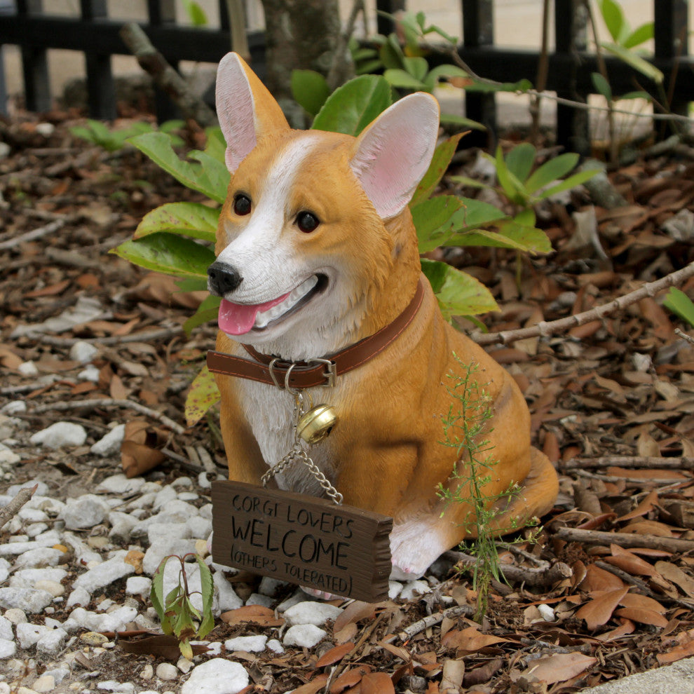 Jasper the Welsh Corgi Dog Realistic Lifelike Statue with Reversible Sign