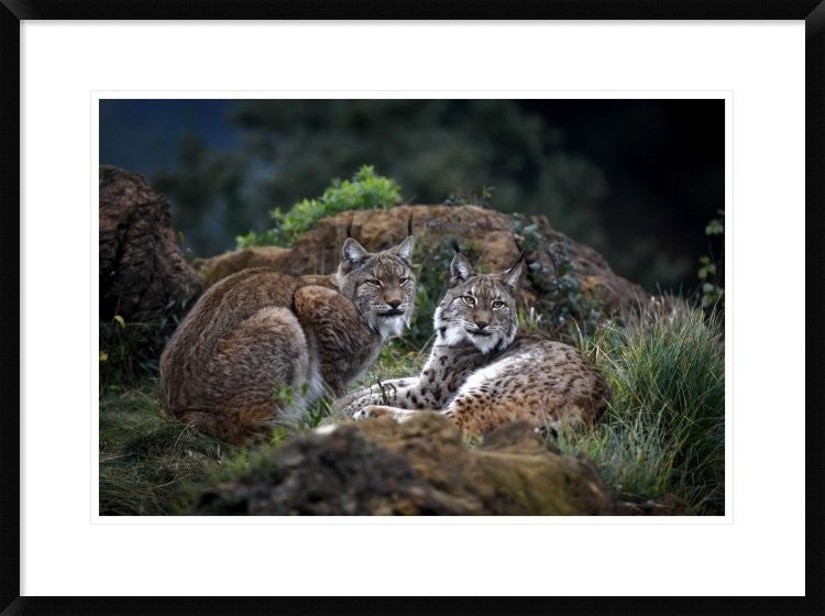 "Moonschein Lovers" Framed Digital Print by Gianfranco Barbieri, 32x24"