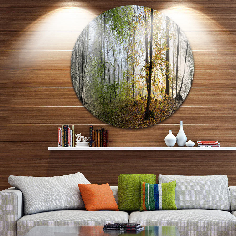 Morning Forest Panoramic View, Landscape Photo Disc Metal Wall Art, 11"