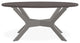24" x 42" Oval Rustic Outdoor Coffee Table, Warm Gray