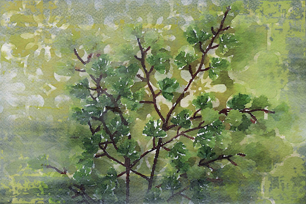 "Green Sensation I" Print on Canvas by Irena Orlov