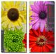 Painted Petals XXXVIII Canvas Art, 2-Piece Set, 40"