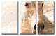 Equestrian Saddle Ink PSXI 4-Panels