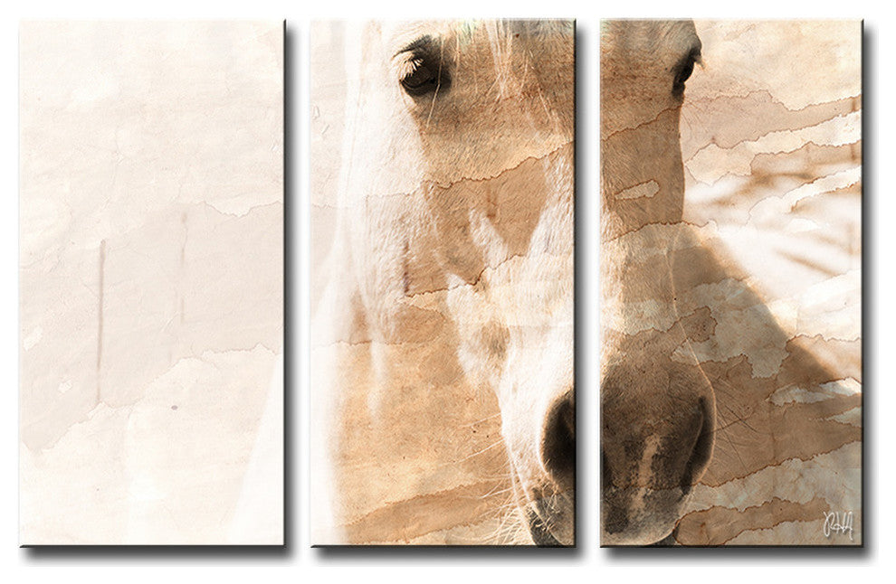 Equestrian Saddle Ink PSXI 4-Panels