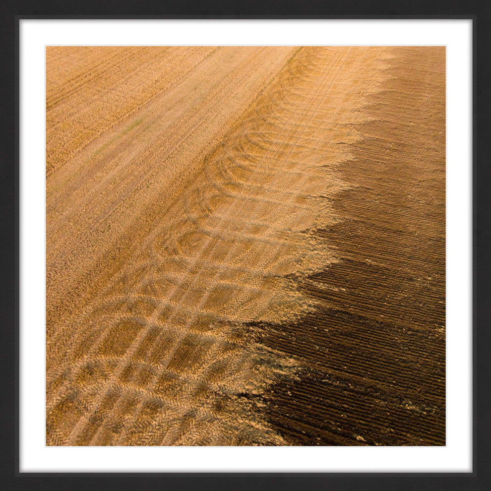 "Wheat Field" Framed Print by Karolis Janulis