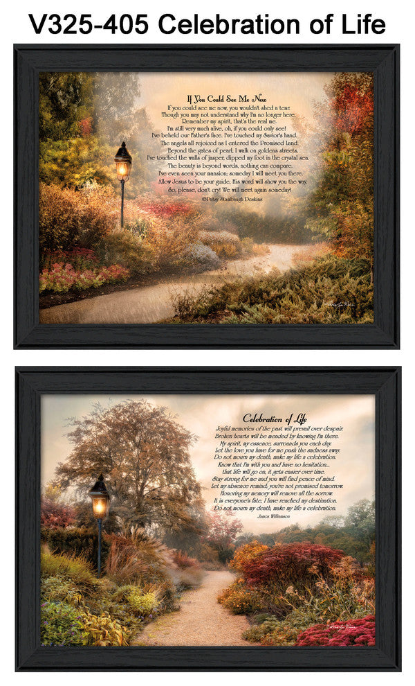 "Celebration of Life" Collection By Robin-Lee Vieira, Black Frame