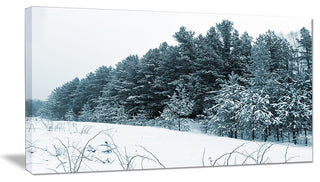 Dark Winter Trees, Landscape Canvas Art Print, 32"x16"