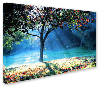 'Rays of Hope' Canvas Art by Beata Czyzowska Young