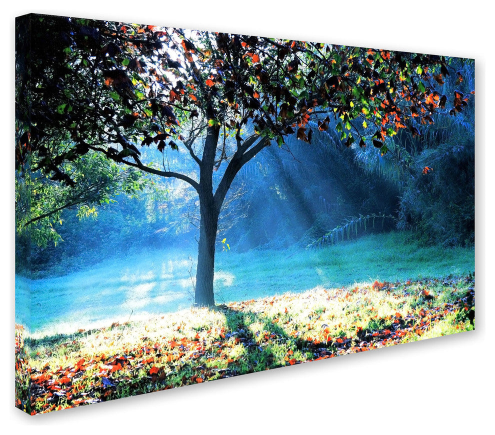 'Rays of Hope' Canvas Art by Beata Czyzowska Young
