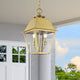 Wentworth 2 Light Natural Brass Outdoor Medium Pendant Lantern