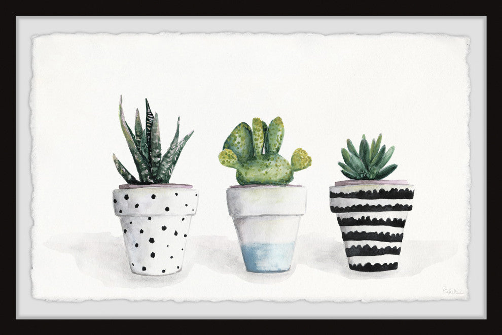 "Succulent Trio II" Framed Painting Print