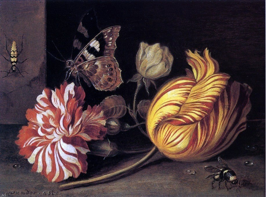 Balthasar Van der Ast Study of Flowers and Insects Gallery Wrapped Canvas Print