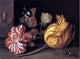 Balthasar Van der Ast Study of Flowers and Insects Gallery Wrapped Canvas Print
