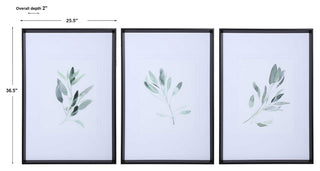 Sage Herb Watercolor Print Green White Wall Art Framed Farmhouse, 3-Piece Set