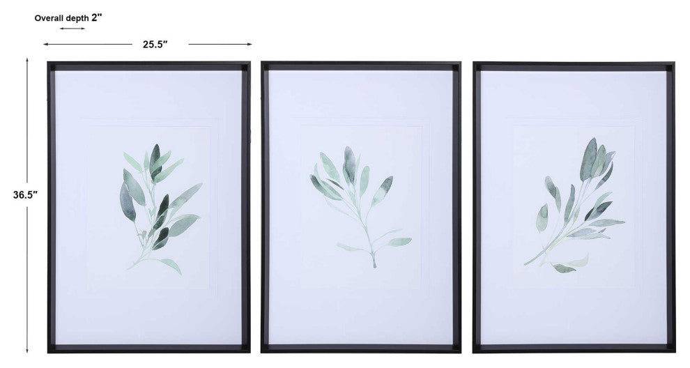Sage Herb Watercolor Print Green White Wall Art Framed Farmhouse, 3-Piece Set