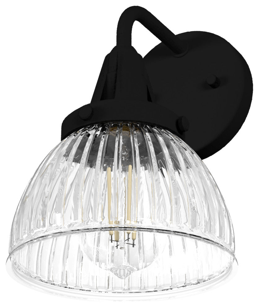 Hunter Cypress Grove Natural Iron 1-Light Sconce Wall Light Fixture