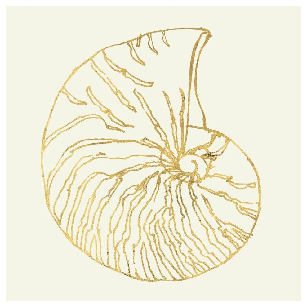 "Coastal Breeze Shell Sketches VII" Paper Print by Anne Tavoletti, 32"x32"