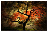 'Japanese' Canvas Art by Philippe Sainte-Laudy