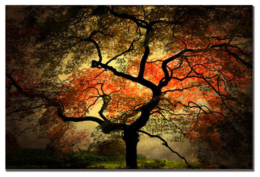'Japanese' Canvas Art by Philippe Sainte-Laudy