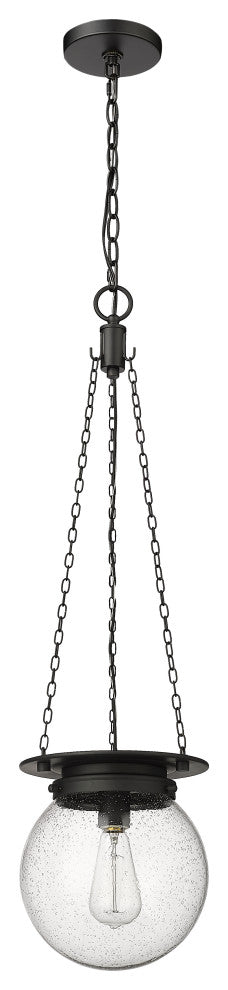 Z-LITE 1-Light Pendant, Matte black