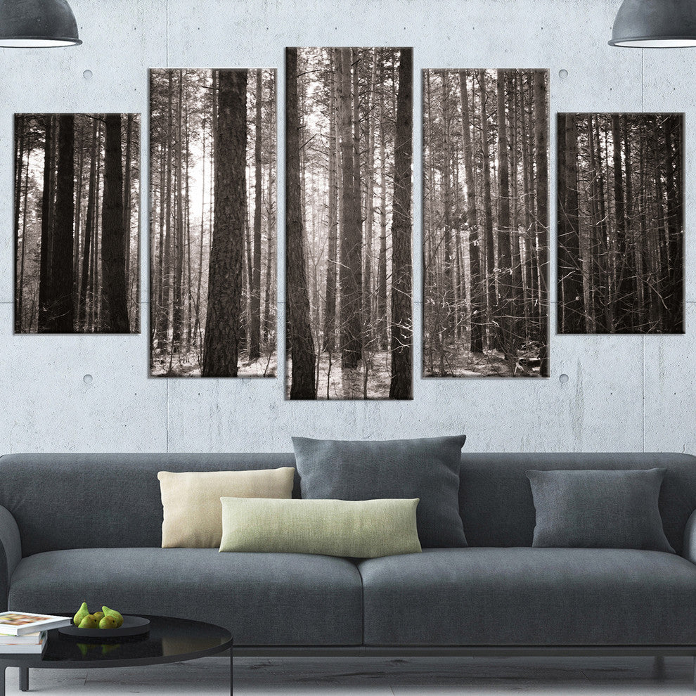 Beautiful Misty Forest in the Autumn, Forest Canvas Art Print, 60"x32", 5 Panels
