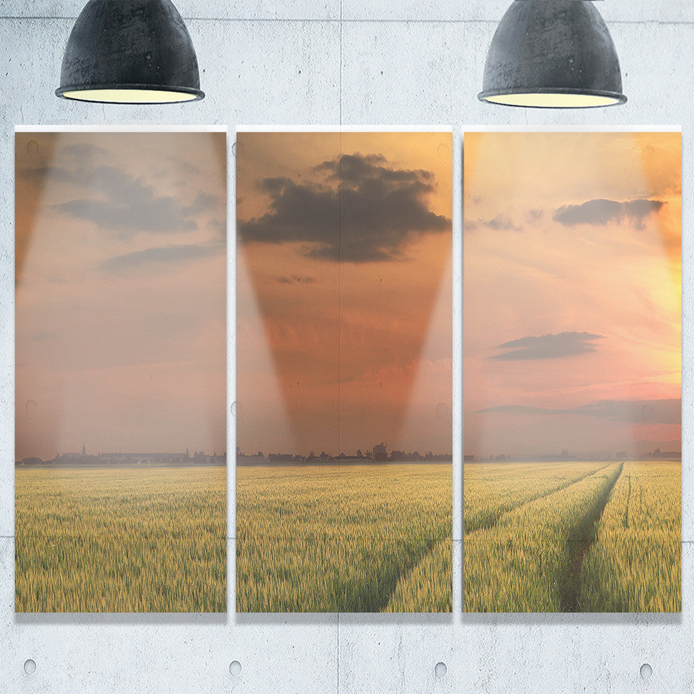 "Sunset Over a Field of Cereals" Metal Landscape, 3 Panels, 36"x28"
