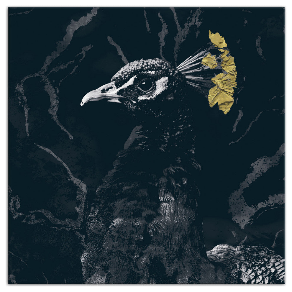 Fancy Peacock Deep Teal 2 16x16 Canvas Wall Art
