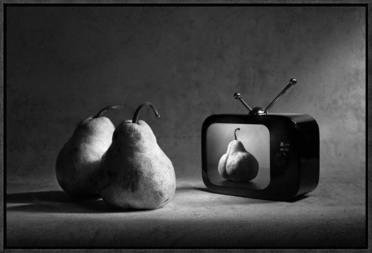 "Adult TV 2" Framed Canvas Giclee by Victoria Ivanova, 23x16"