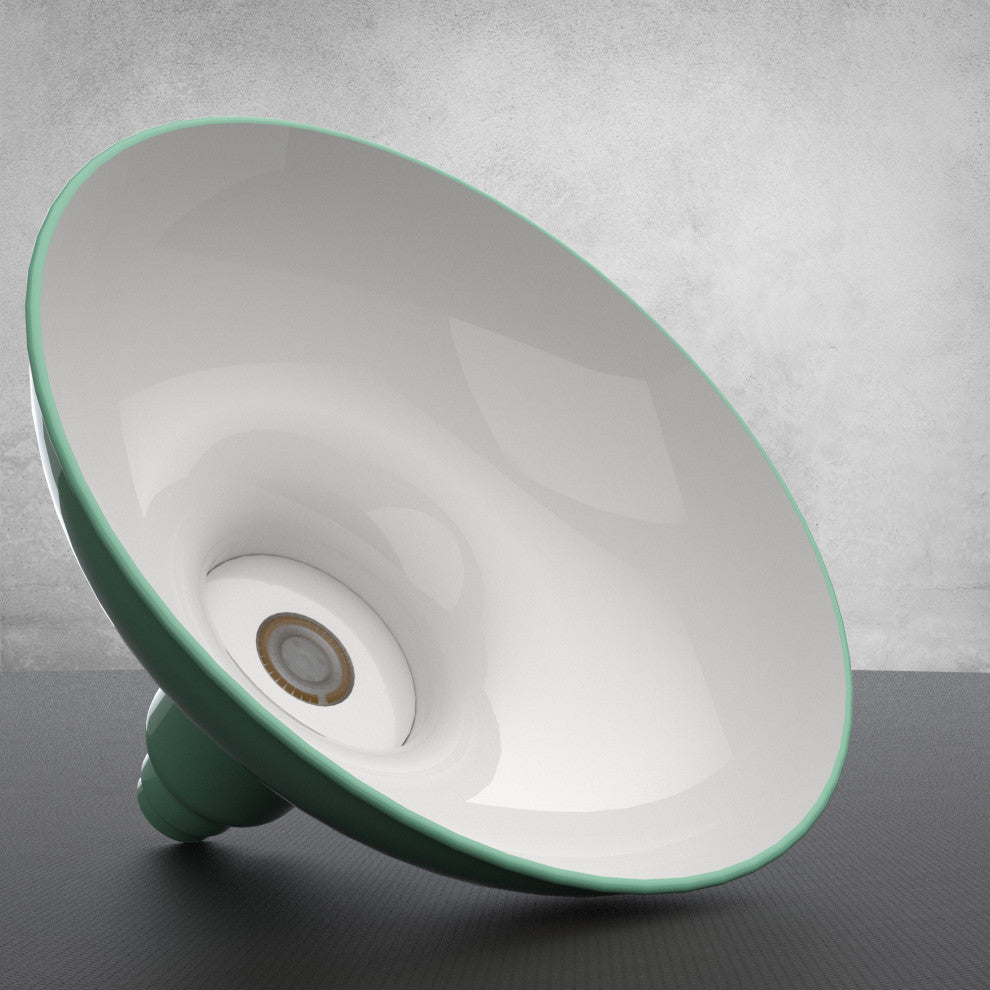 8in. Jade Gooseneck Barn Light with Cosmopolitan Arm