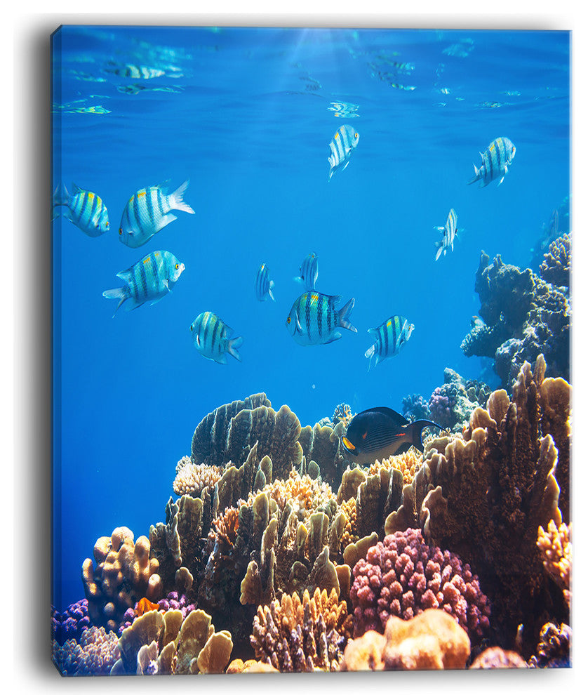 "Bright Blue Waters and Coral Fish" Seashore Canvas Print, 12"x20"
