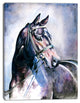 Black Horse with Bridle, Abstract Canvas Art Print, 30"x40"