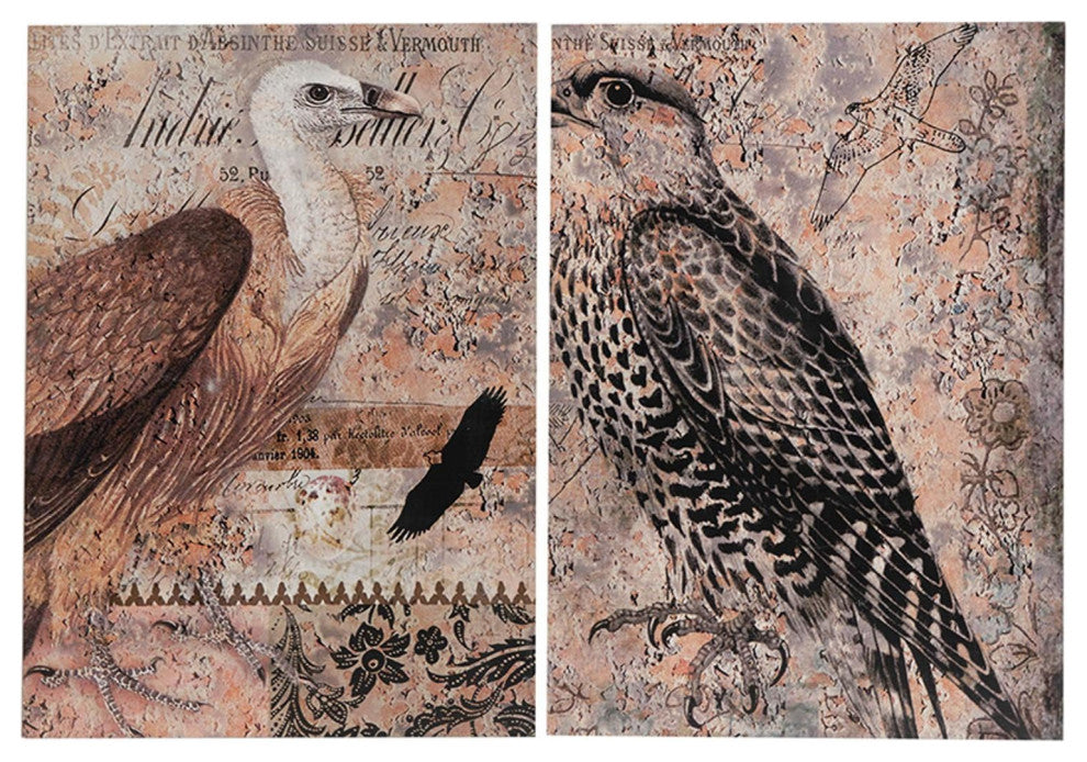 2-Piece Set Antique Post Card Birds Wall Art