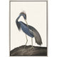 Great Heron II Artwork