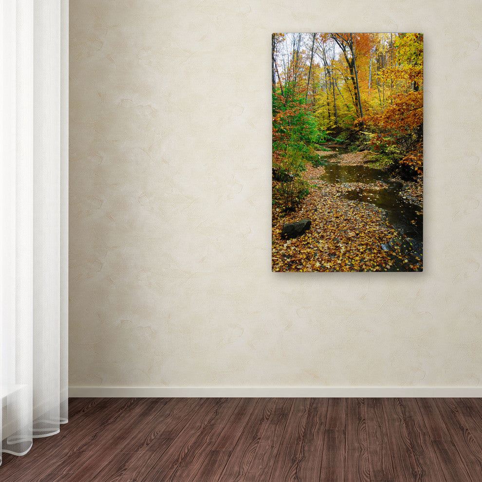 'Autumn Stream II' Canvas Art by Kurt Shaffer