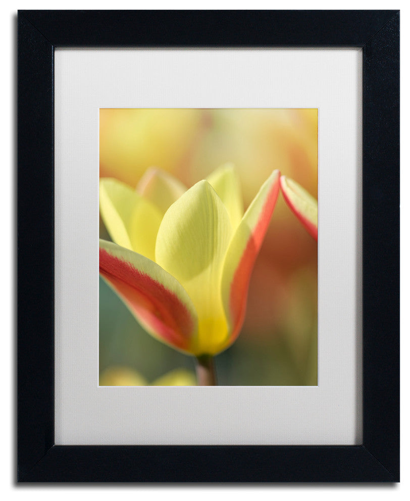 Cora Niele ''Tulip Tinka'' Matted Framed Art