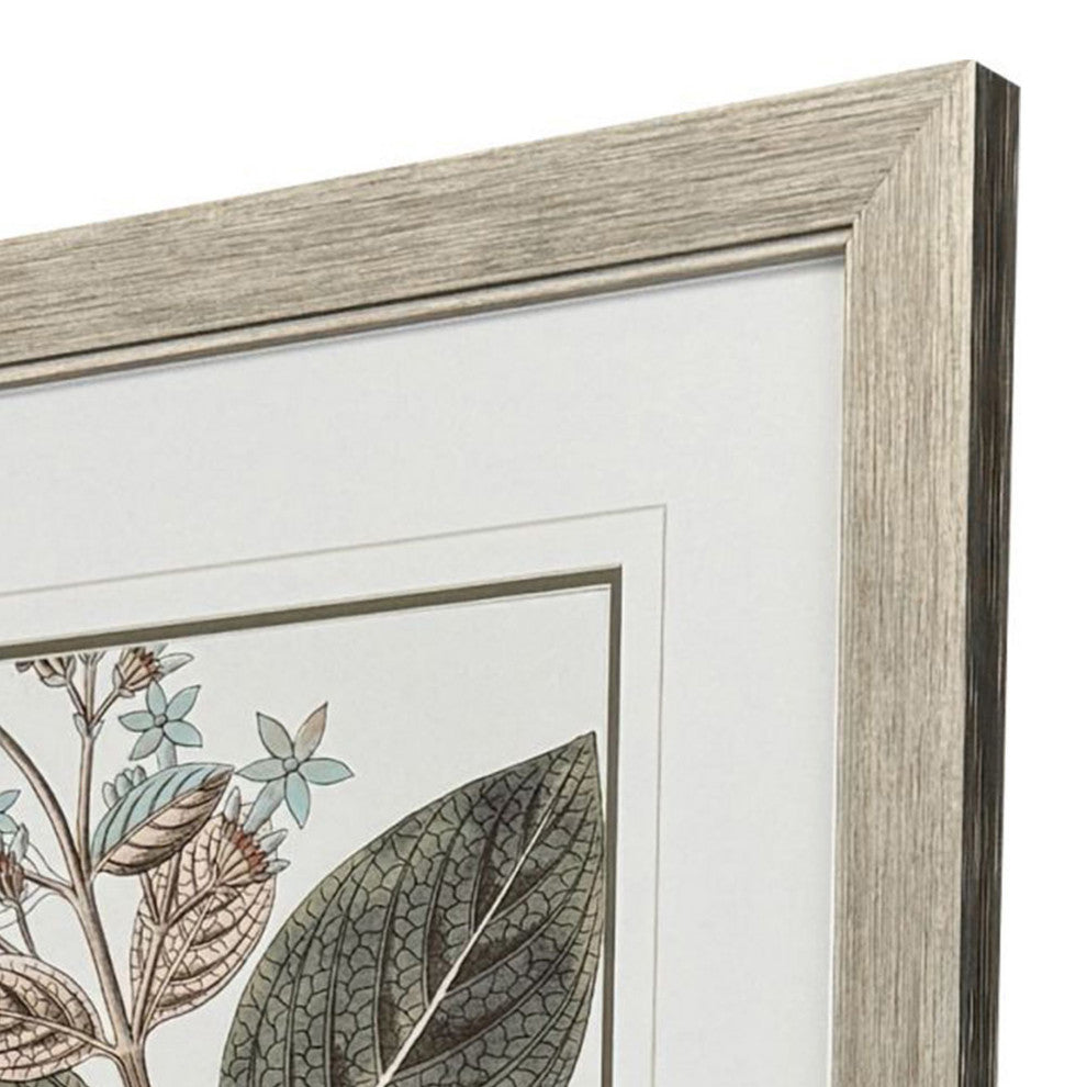 Flowering Botanical III Framed Art