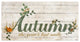 Autumn Wrapped Canvas Textual Harvest Wall Art