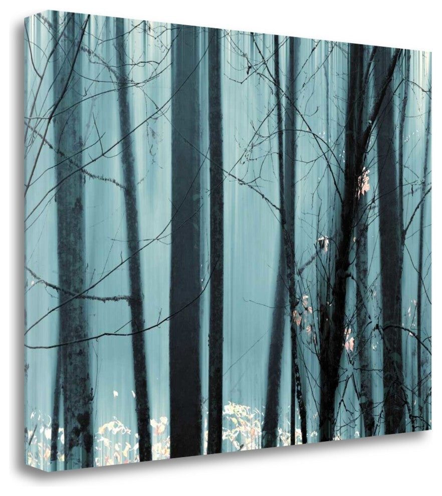 "Spring Mist II" By Marvin Pelkey, Giclee Print on Gallery Wrap Canvas