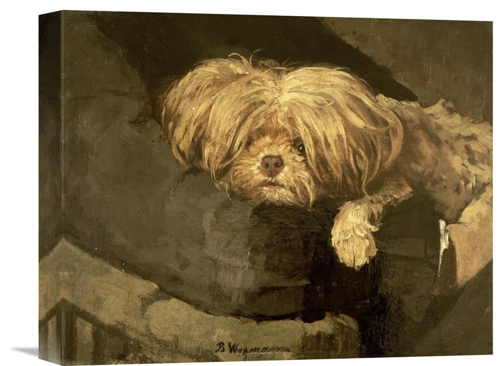 "Resting" Stretched Canvas Giclee by Bertha Wegmann, 16"x13"