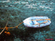 Contemporary Art Seascape Accent Tile Mural Kitchen Wall Backsplash, 6"x8"