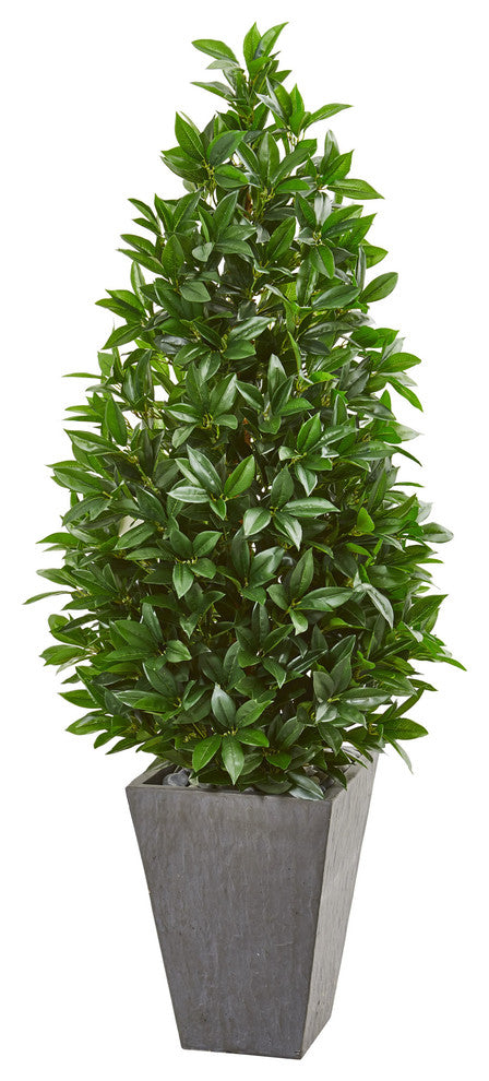 57" Bay Leaf Cone Topiary Tree in Slate Planter UV Resistant, Indoor/Outdoor