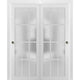 Closet Glass Bypass Doors 72 x 84 | Felicia 3312 Matte White | Rails Pulls