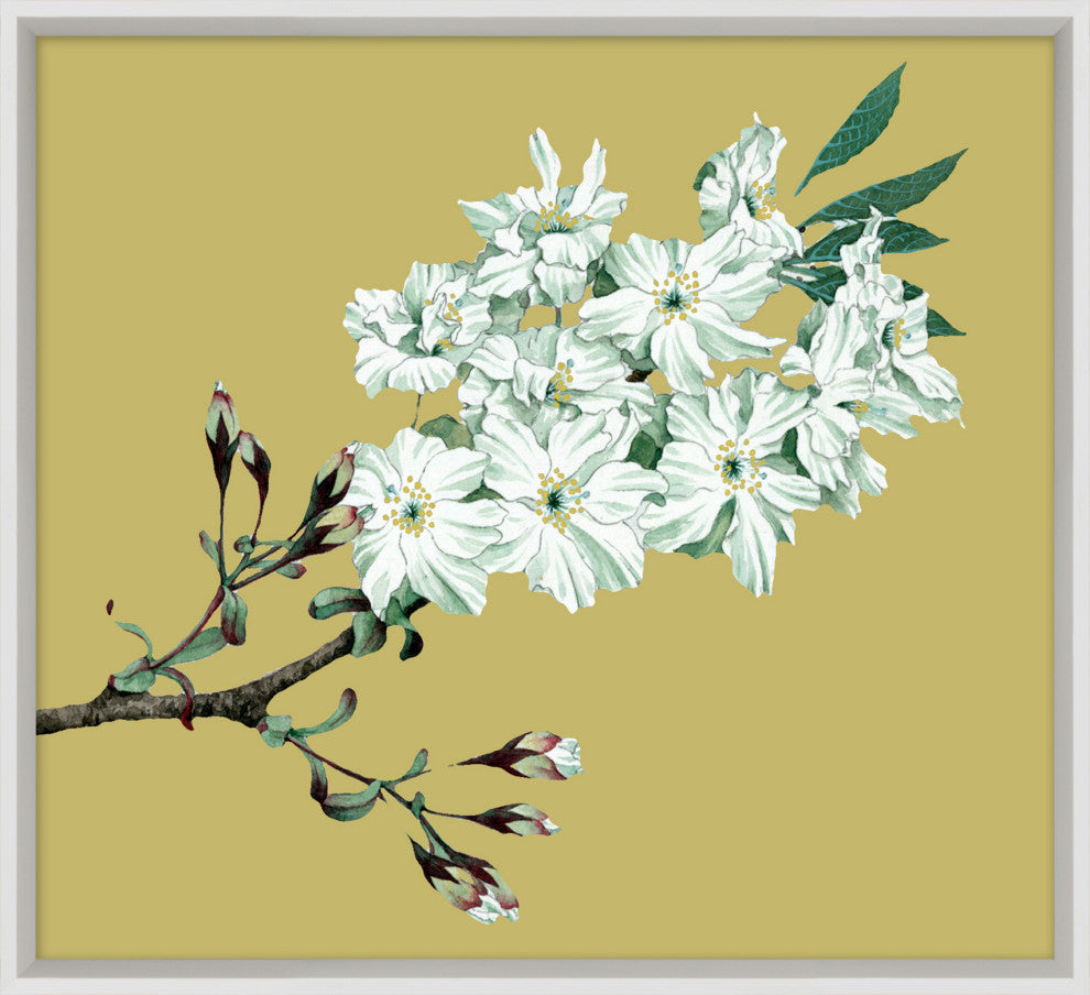 Goldenrod Blossom 6, Giclee Reproduction Artwork