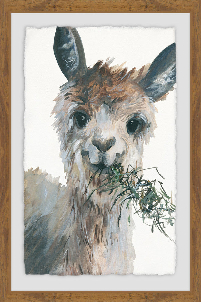 "Munching Llama" Framed Painting Print, 20"x30"